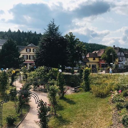 Le Belvedere - Gites Marck Turckheim Exterior foto
