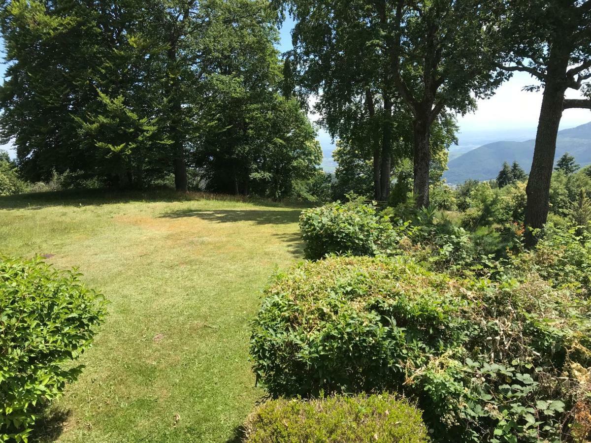 Le Belvedere - Gites Marck Turckheim Exterior foto