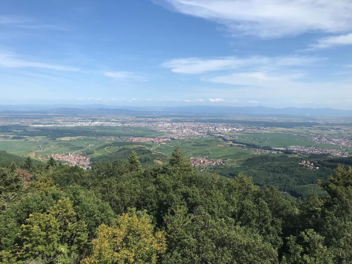 Le Belvedere - Gites Marck Turckheim Exterior foto
